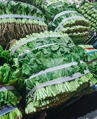 厚街蔬菜配送公司 打造新鲜蔬菜批发新标杆