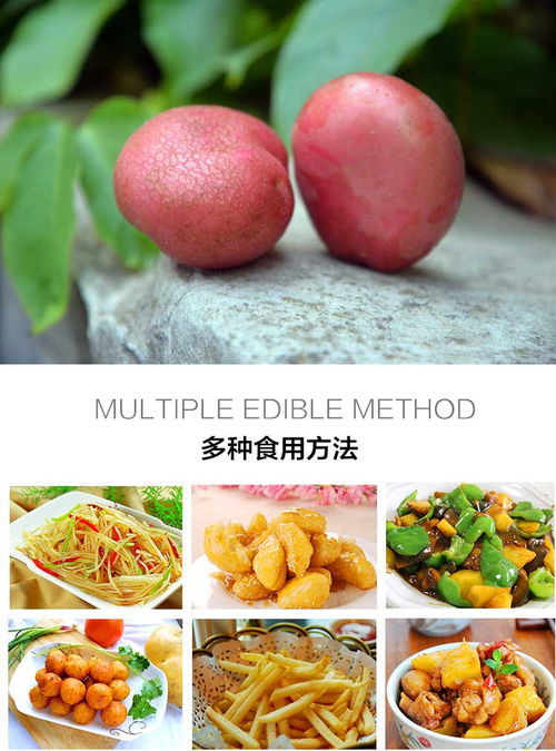 农家自种红皮洋芋 源自云南的天然美味，10斤装新鲜包邮批发